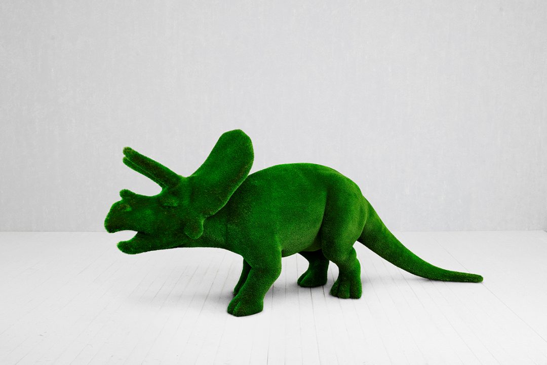 Triceratops ImGExDesign