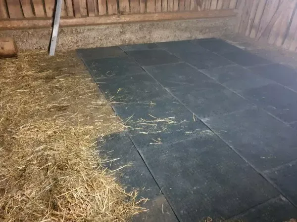 Stallmatte und Bodenmatte Quadro in der Größe 100x100x3 cm für Innen- und Außenbereiche