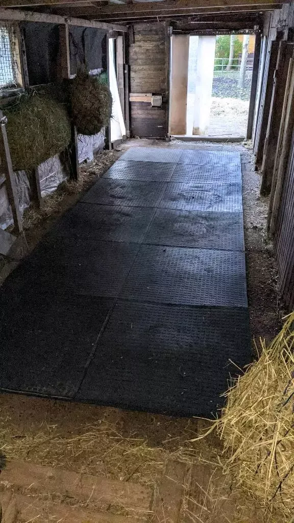 Stallmatte und Bodenmatte Quadro in der Größe 100x100x3 cm für Innen- und Außenbereiche
