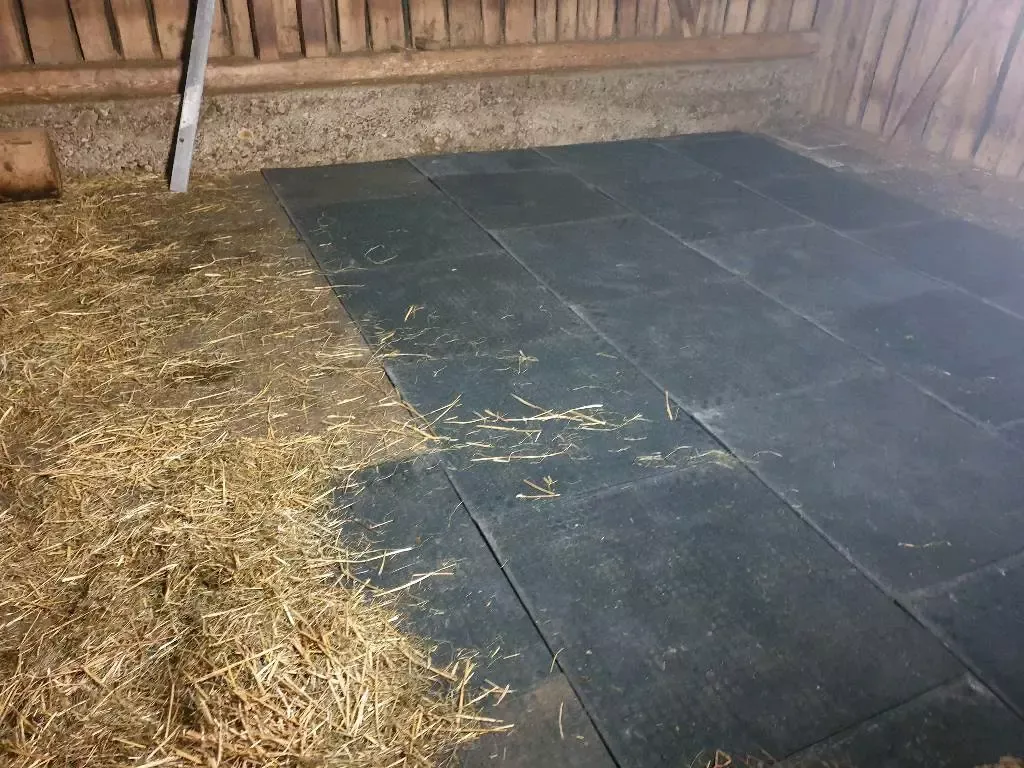 Stallmatte und Bodenmatte Quadro in der Größe 100x100x3 cm für Innen- und Außenbereiche