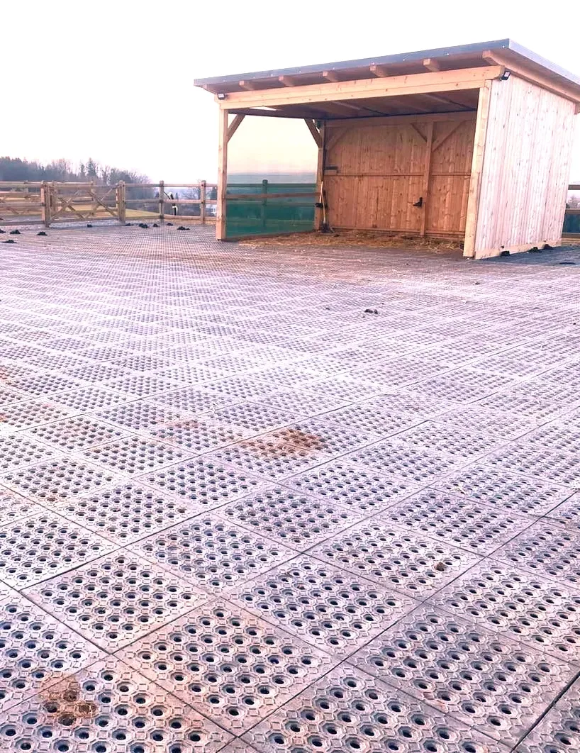 Reitplatzplatte und Paddockplatte in der Größe 50x50x5,3 cm für Reitplätze