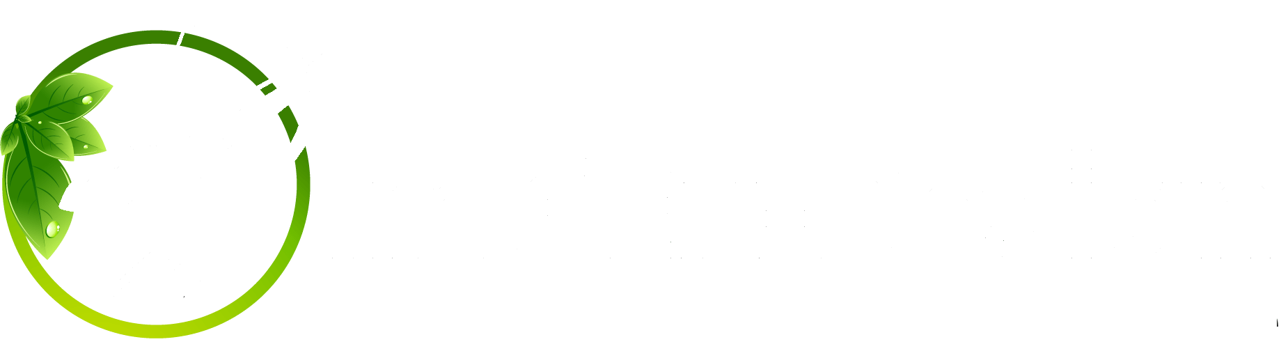 ImGEx Design Logo
