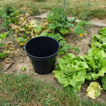 Der flexible UNI - Eimer als perfekter Helfer bei der Gartenarbeit