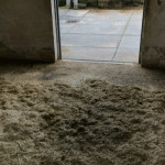 Bodenschutzmatte SOLID als dämpfender Belag für eine Reithalle