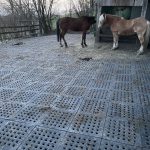 Paddockplatte & Reitplatzplate